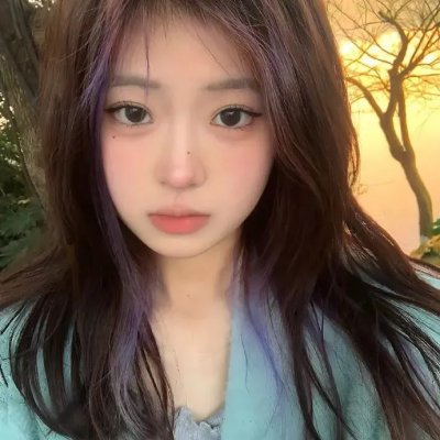 完美伴侣